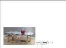 Lynx Coffee Table
